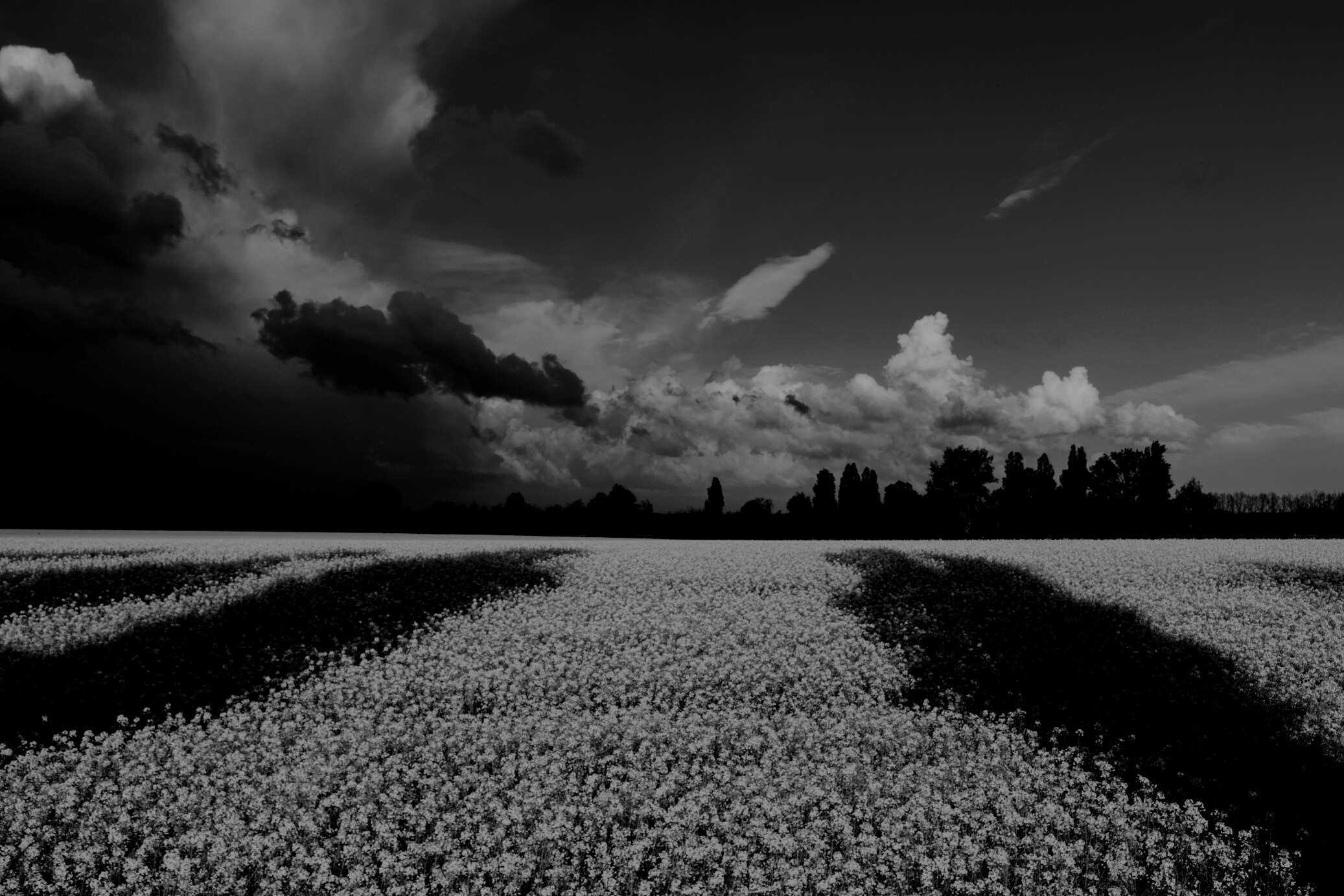 Green Field Under White and Blue Clouds during Daytime
